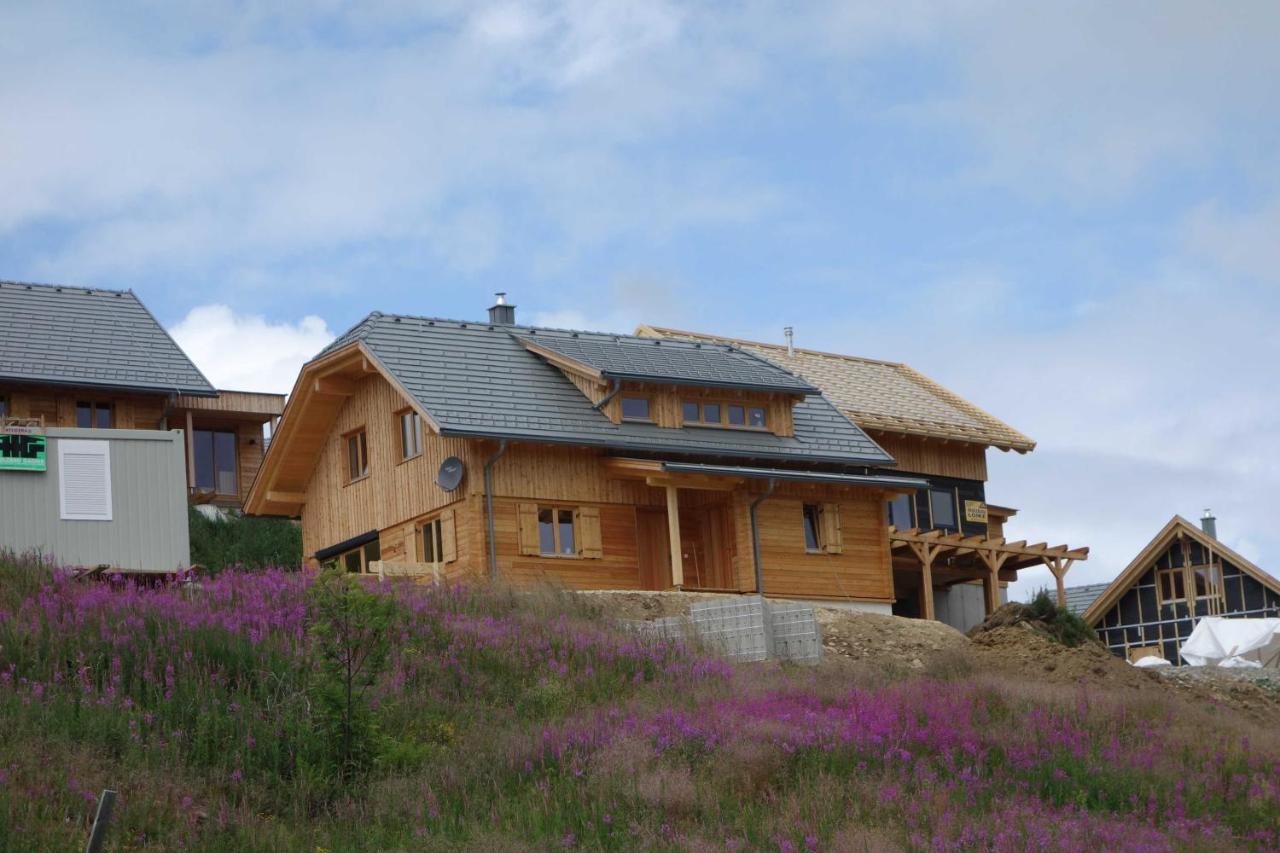 Ferienhaus Murmeltier Am Klippitztoerl Klippitztorl Экстерьер фото